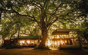 Askiesbos - Samochima Bush Camp