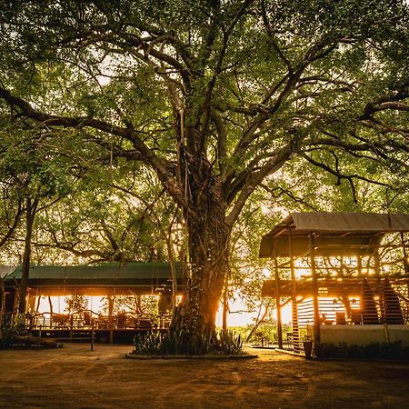 Askiesbos - Samochima Bush Camp Shakawe Exterior foto