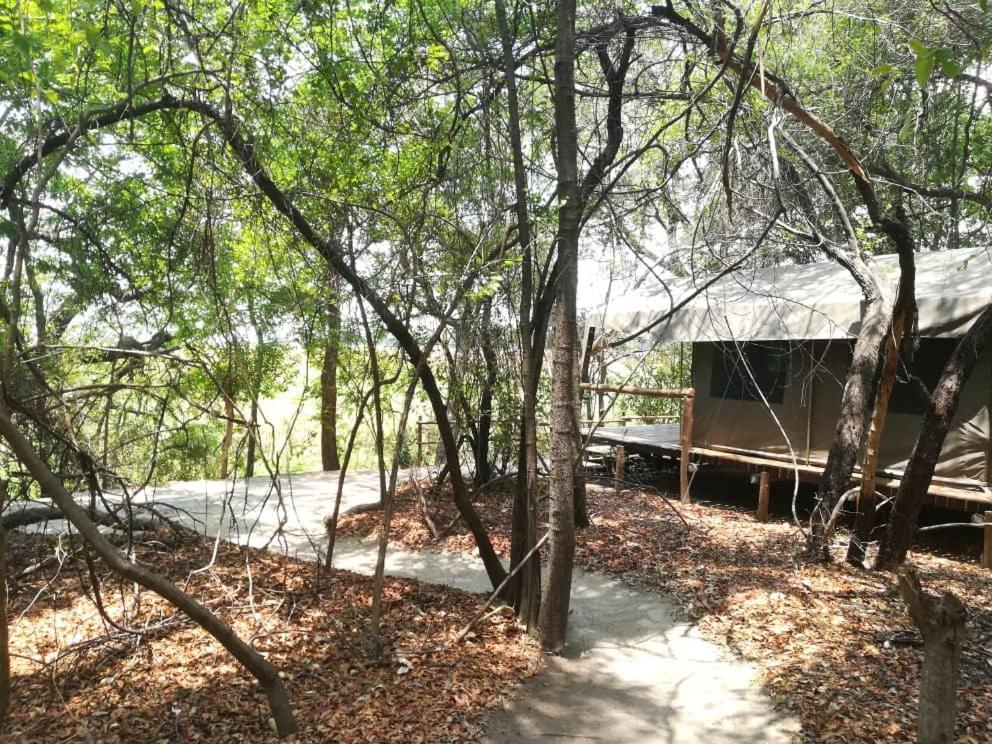 Askiesbos - Samochima Bush Camp Shakawe Exterior foto